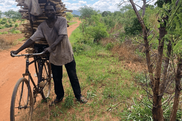 Battle for Malawi’s ecological future